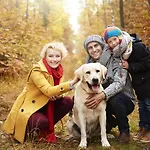 Harz-blockhaus, 4 Und 5 Sterne, Sauna - Und Kamin - Hütte