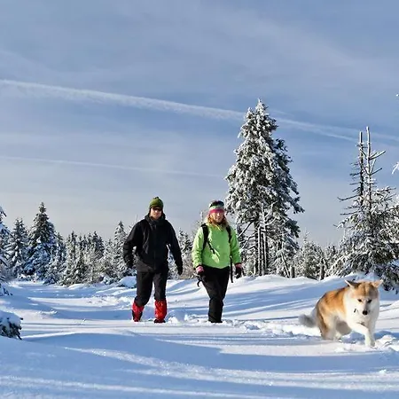 Holiday home Hahnenklee Mit Sauna Und Kamin, Harz - Blockhaus Goslar