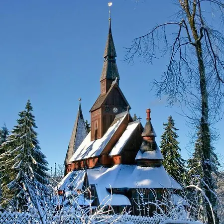 Hahnenklee Mit Sauna Und Kamin, Harz - Blockhaus *
