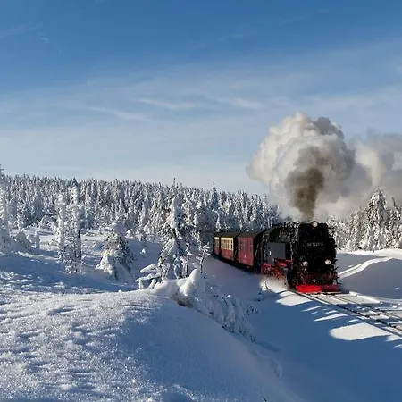 Hahnenklee Mit Sauna Und Kamin, Harz - Blockhaus