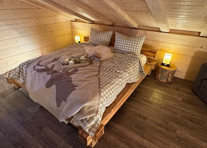 Hébergement de vacances Harz-blockhaus, 4 Und 5 Sterne, Sauna - Und Kamin - Kh *